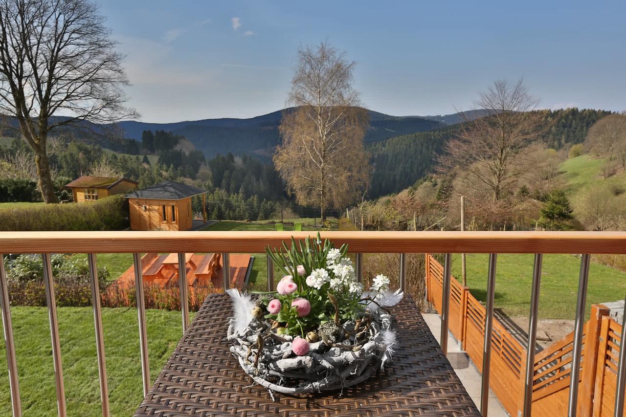 Landhaeuser Bergwiese - Ferienhaus Hoehenblick Sankt Andreasberg Exterior foto
